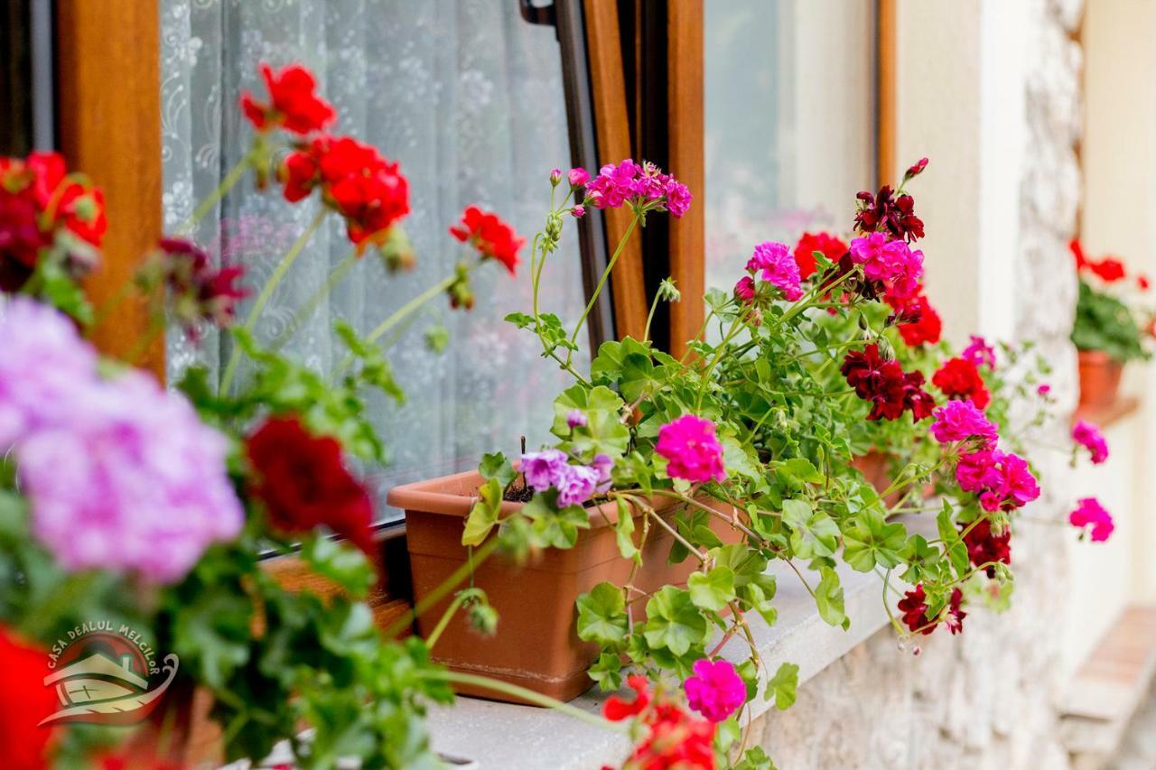 Casa Dealul Melcilor Otel Braşov Dış mekan fotoğraf